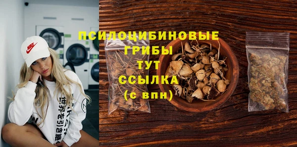 молекула духа Переславль-Залесский