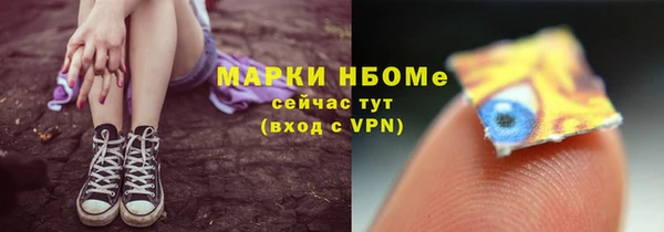 молекула духа Переславль-Залесский