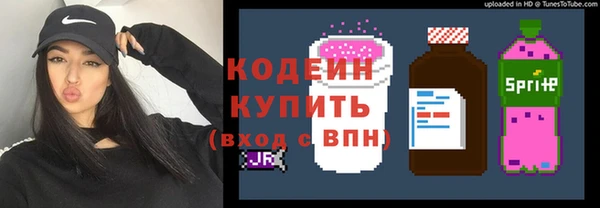 молекула духа Переславль-Залесский