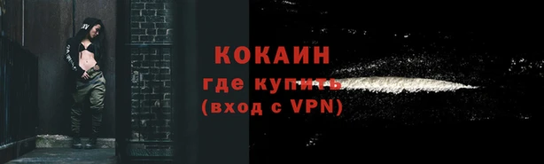 молекула духа Переславль-Залесский