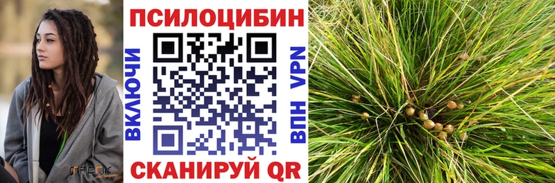 сколько стоит  Серафимович  Галлюциногенные грибы Cubensis 